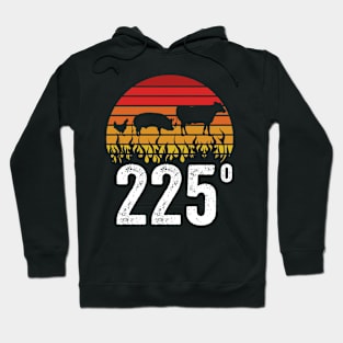 Funny Grilling Dad BBQ Season 225 Grill Master Hoodie